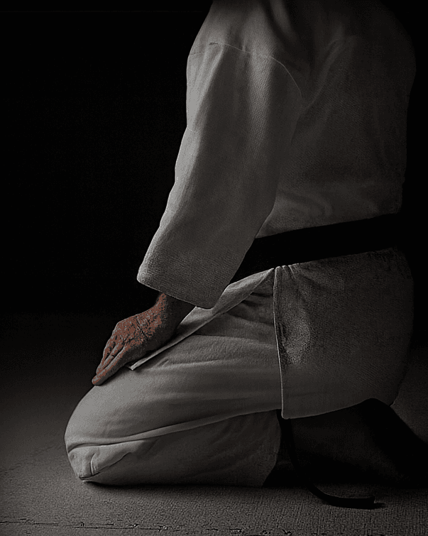 Sensei Aurélien MIR-HASSAINE