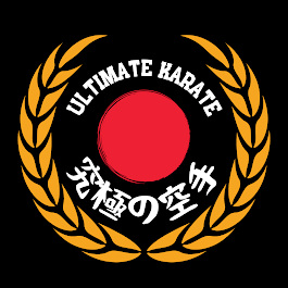 Ultimate Karate USA